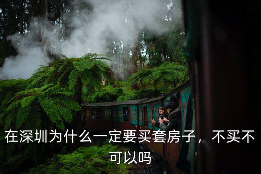 在深圳為什么一定要買套房子，不買不可以嗎