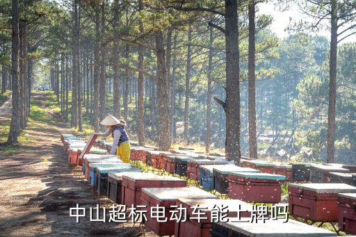 中山的超標電動車去哪里上牌,中山超標電動車能上牌嗎