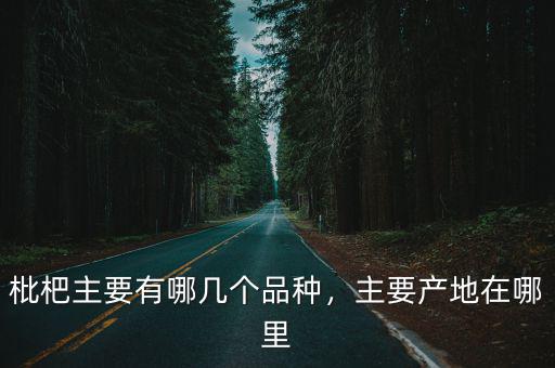 枇杷主要有哪幾個(gè)品種，主要產(chǎn)地在哪里