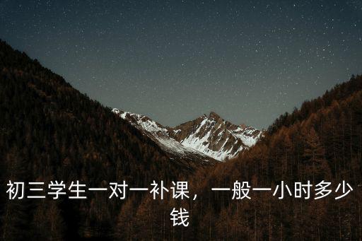廣州物理一對一多少錢一個小時,初三學生一對一補課