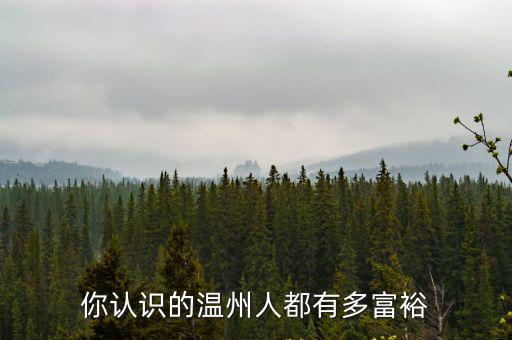 你認識的溫州人都有多富裕