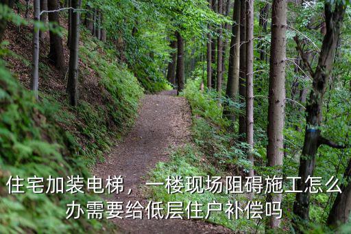 住宅加裝電梯，一樓現場阻礙施工怎么辦需要給低層住戶補償嗎