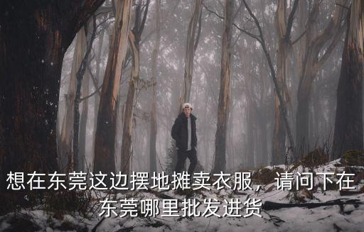 東莞針織衫批發市場在哪里,想在東莞這邊擺地攤賣衣服