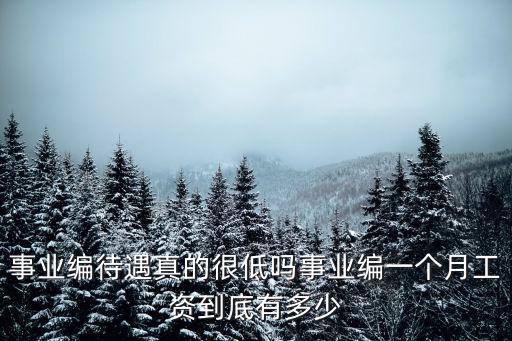 棗莊事業編績效工資多少,事業編一個月工資到底有多少