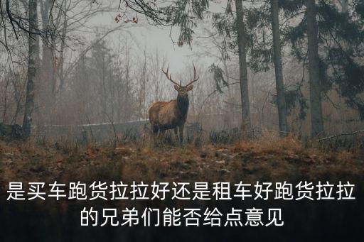 是買車跑貨拉拉好還是租車好跑貨拉拉的兄弟們能否給點意見
