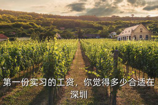第一份實習(xí)的工資，你覺得多少合適在深圳