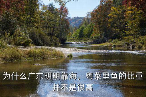廣東怎么樣燜魚,魚怎樣做好吃