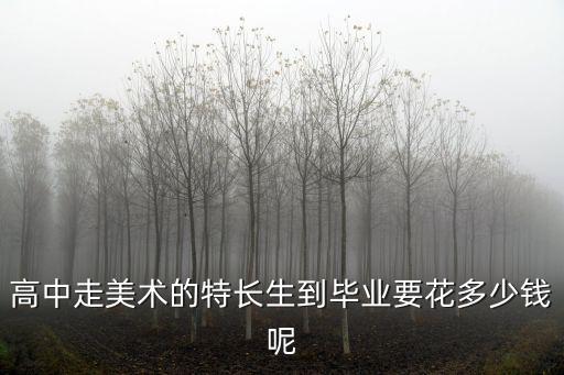 高中走美術的特長生到畢業要花多少錢呢