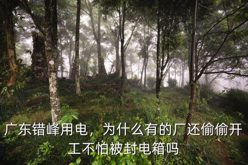 東莞錯峰用電還沒進廠怎么辦,廣東許多工廠實行錯峰用電
