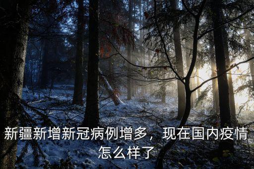 新疆新增新冠病例增多，現(xiàn)在國(guó)內(nèi)疫情怎么樣了