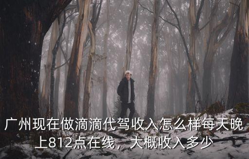 滴滴代駕在廣州能賺多少錢一個月,大概收入多少