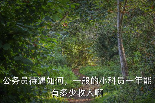 公務員待遇如何，一般的小科員一年能有多少收入啊