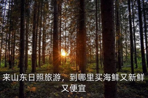 莒南到日照金陽海鮮市場多少公里,來山東日照旅游