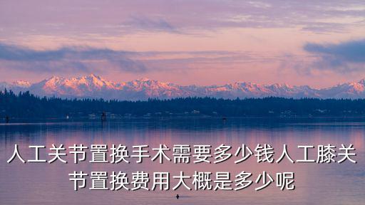杭州骨科手臂關節置換手術多少錢,人工膝關節置換術價格