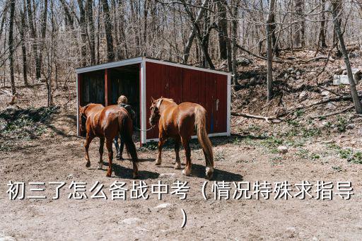 深圳中考怎么備戰,備戰2019中考