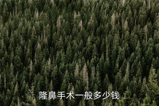 隆鼻手術一般多少錢