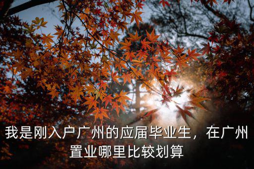 我是剛入戶廣州的應屆畢業生，在廣州置業哪里比較劃算