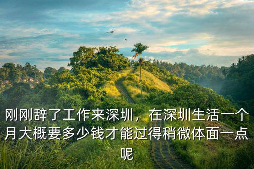 一個外賣員在深圳生活要開銷多少,在深圳生活什么體驗