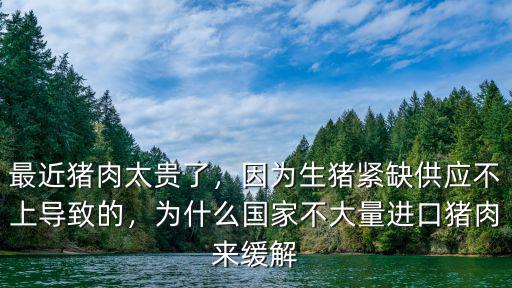 最近豬肉太貴了，因為生豬緊缺供應不上導致的，為什么國家不大量進口豬肉來緩解