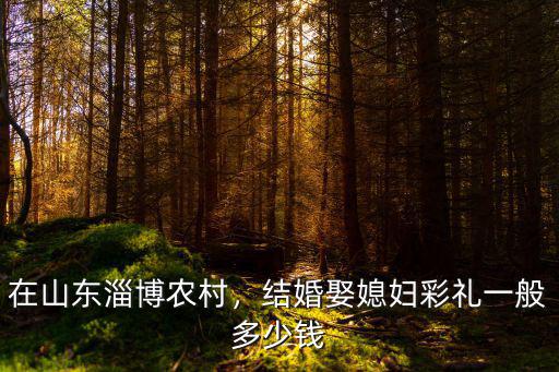 在山東淄博農(nóng)村，結(jié)婚娶媳婦彩禮一般多少錢
