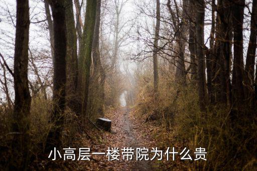 小高層一樓帶院為什么貴