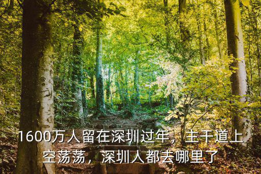 1600萬人留在深圳過年，主干道上空蕩蕩，深圳人都去哪里了