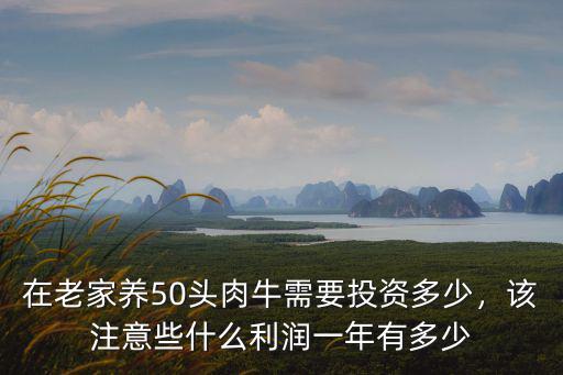 在老家養50頭肉牛需要投資多少，該注意些什么利潤一年有多少