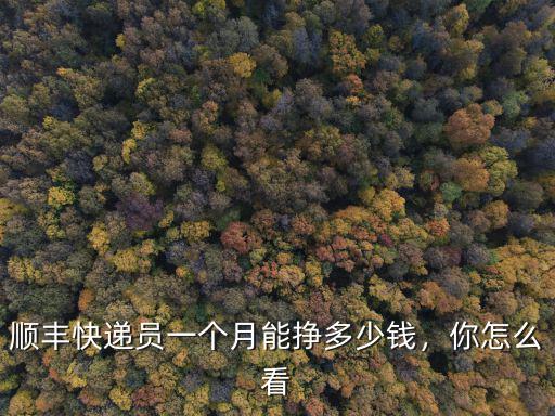 順豐快遞員一個(gè)月能掙多少錢，你怎么看