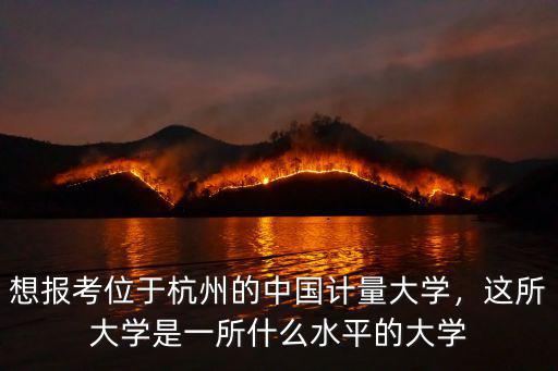 想報考位于杭州的中國計量大學，這所大學是一所什么水平的大學