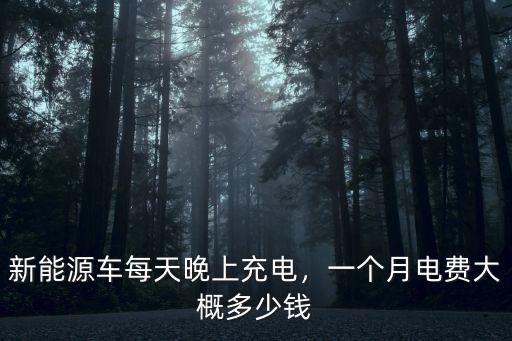 嘉興的新能源汽車(chē)多少錢(qián)一個(gè)月,一個(gè)月電費(fèi)大概多少錢(qián)