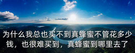 深圳市哪里可以買到真蜂蜜,為什么我總也買不到真蜂蜜