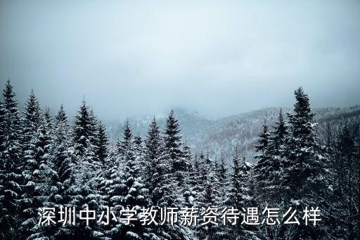 深圳老師工作怎么樣,去深圳中學當老師