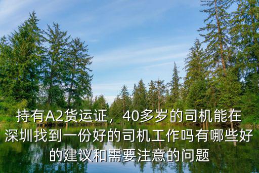 深圳有多少貨運司機,深圳貨運司機月薪過萬可信嗎