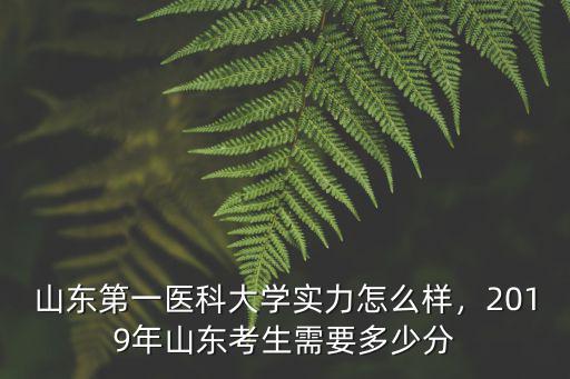 山東有哪些大學要多少分1,山東第一醫科大學實力怎么樣