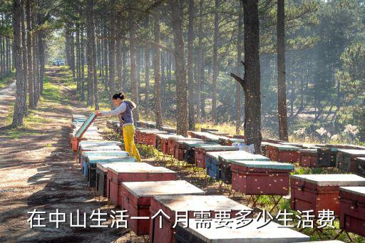 中山開(kāi)泥頭車(chē)有多少錢(qián)一個(gè)月,在廣州打工一個(gè)月工資有多少