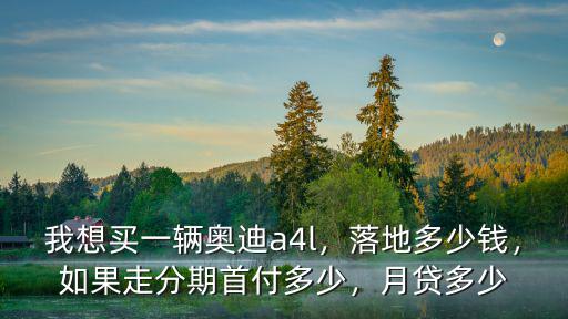 我想買一輛奧迪a4l，落地多少錢，如果走分期首付多少，月貸多少