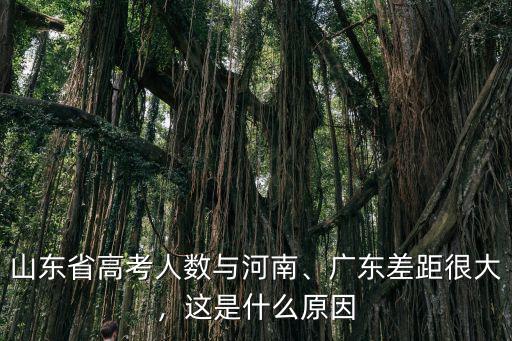 河南省和山東省高考人數(shù)差多少,為何高考人數(shù)卻一騎絕塵
