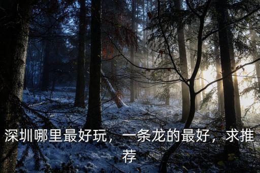 深圳哪里最好玩，一條龍的最好，求推薦