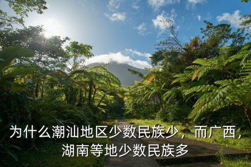 廣東少數民族聚居地是哪里,湖南等地少數民族多