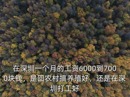 在深圳市的海底撈工資怎么樣,海底撈上班怎么樣