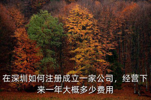 在深圳如何注冊成立一家公司，經營下來一年大概多少費用