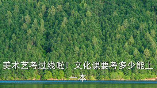 美術藝考過線啦！文化課要考多少能上一本