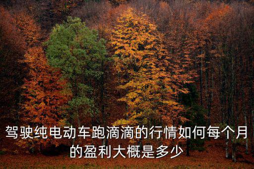 駕駛純電動車跑滴滴的行情如何每個月的盈利大概是多少