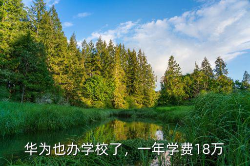 杭州云谷學(xué)校小學(xué)學(xué)費(fèi)多少一年,一年學(xué)費(fèi)18萬