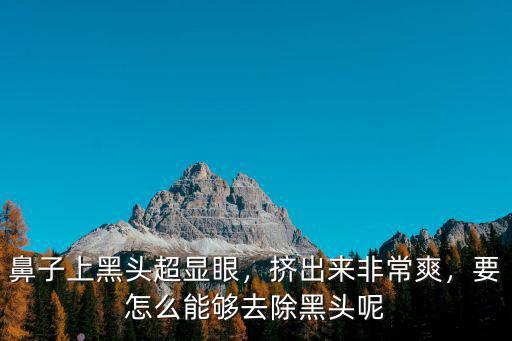 鼻子上黑頭超顯眼，擠出來非常爽，要怎么能夠去除黑頭呢