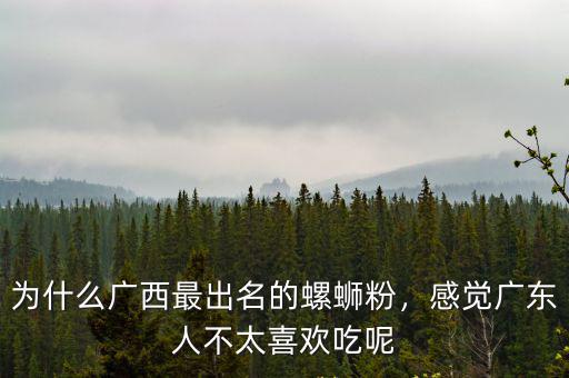 廣東人怎么看待螺螄粉,為什么廣西最出名的螺螄粉