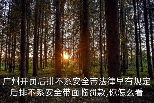廣州后排不系安全帶要怎么處罰,廣州開罰后排不系安全帶