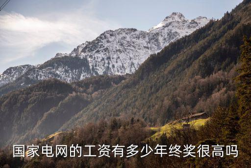 溫州電力公司能有多少年薪,國家電網能有五十萬年薪嗎