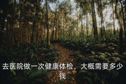 去醫院做一次健康體檢，大概需要多少錢