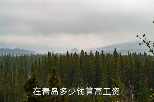 青島月入多少養(yǎng)家,月入1.2w在青島什么水平